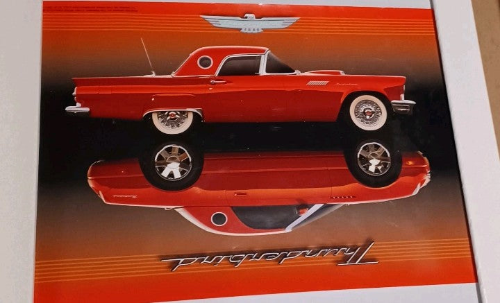 1955/2005 ford Thunderbird poster