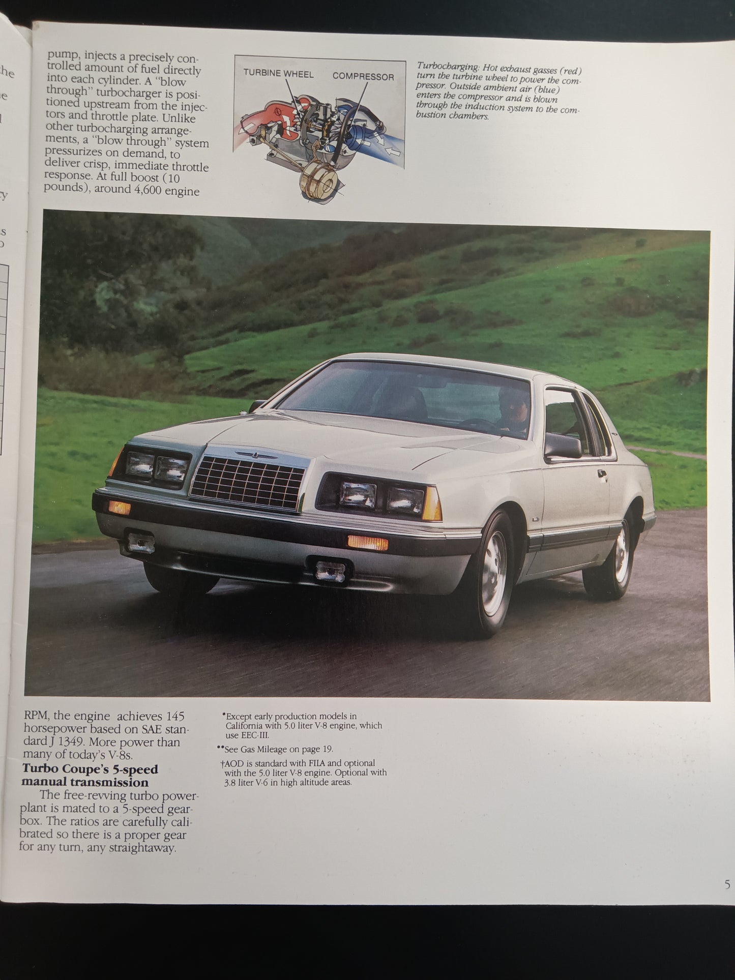 1984 Ford Thunderbird Sales Brochure
